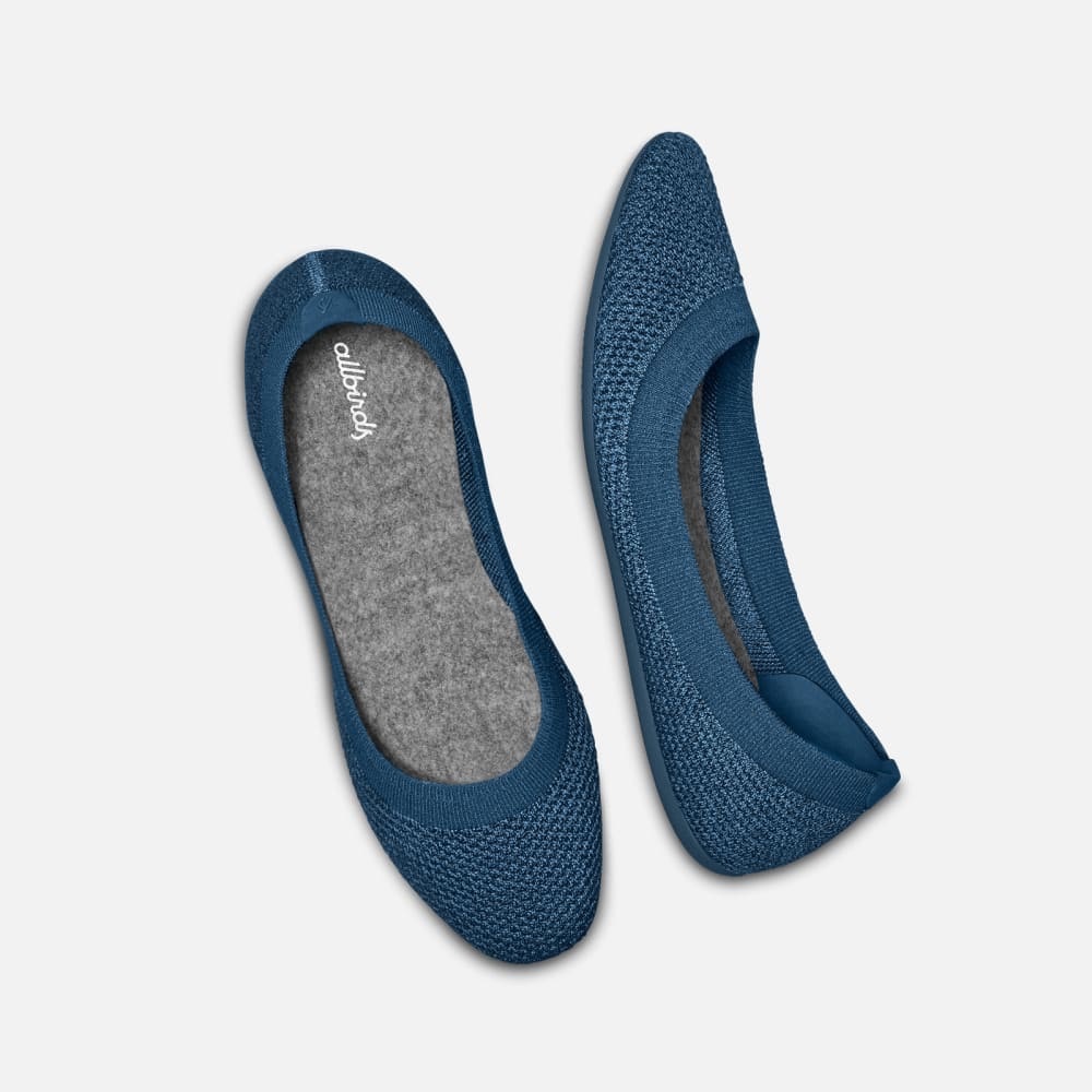 NWT Allbirds Tree Breezer